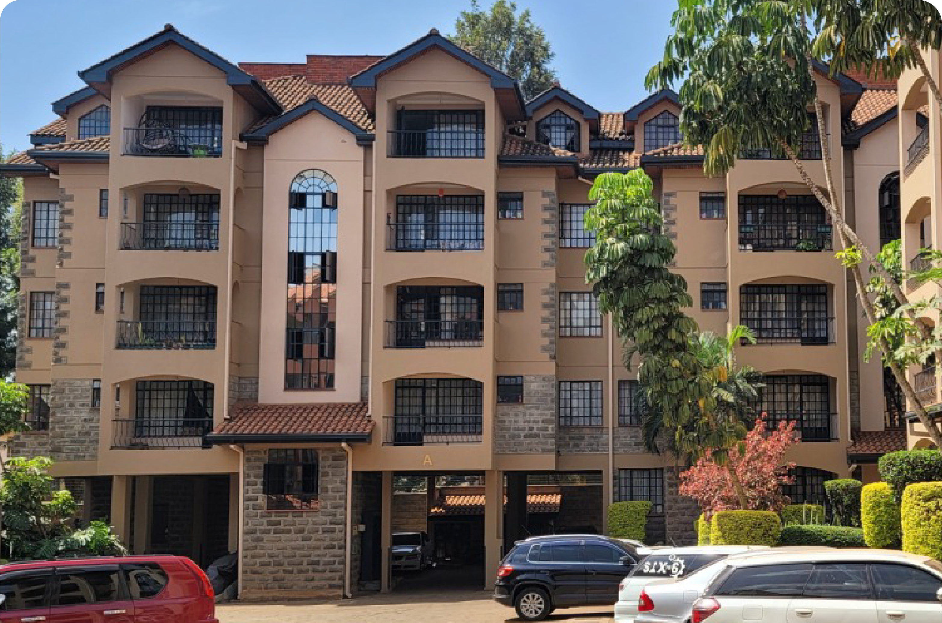 Market Research and Feasibility Study