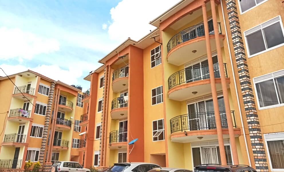 12+ Years of Expertise